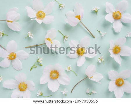 flower pattern background of wildflowers top view, flat lay. concept spring, summer, Mother's Day holiday, March 8. Composition of flowers.Floral abstract turquoise, blue background.