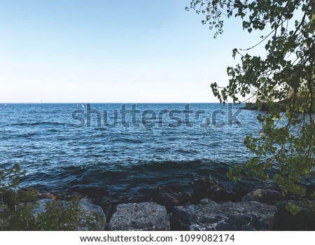 Lake Ontario with small waves, tree and stone.