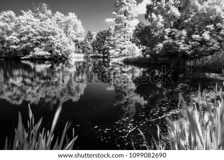 Infrared photography of Botanic Gardens in London