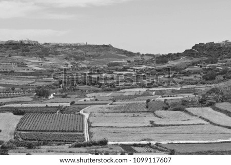 Rural landscape with  fields and vineyards on maltese island Gozo. Black and white picture