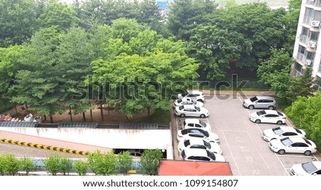 The view of the entrance to the apartment parking lot and the dense trees from Korean apartments