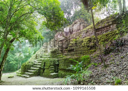 Famous ancient Mayan temples in Tikal National Park, Guatemala, Central America Royalty-Free Stock Photo #1099165508