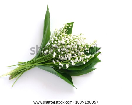 Bouquet of lily of the valleys, isolated on white background, view from above. Royalty-Free Stock Photo #1099180067