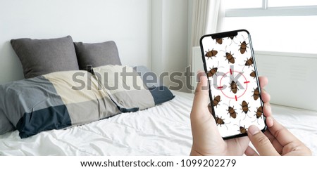 Women are checking for unusual things and detecting bed bugs in the bedroom.