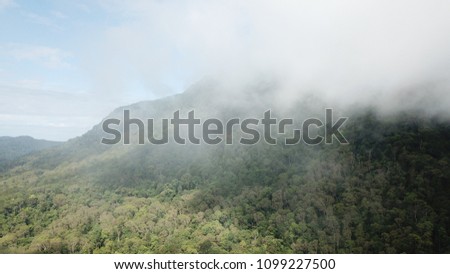 Rainforest aerial photo Borneo, Malaysia