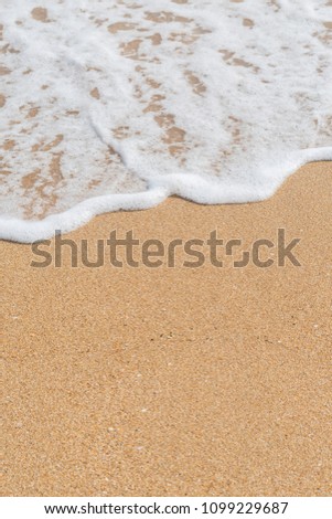 Wave of the sea on the sandy beach background