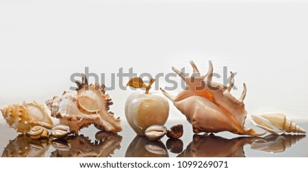 Sea shells, decorative apple and glass pyramids on a white background and a glass table. Artistic composition.