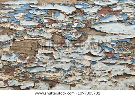 texture, old blue paint on the boards, background, background, for print and internet