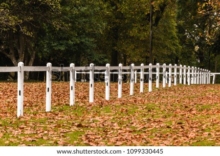 Autumn equestrian outdoor scenic horse fencing training landscape with  trees dry leaves scattered on fields.
