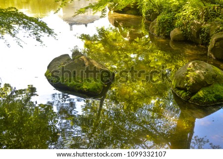 Sunlight reflecting  water in the japanese garden