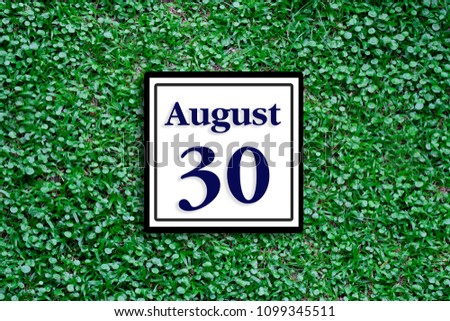 Numbers on August 30th.  or thirtieth.Concept:Calendar. date of the year. date and time,Work schedule ,Deadline, Important day, anniversary, holiday, Diary