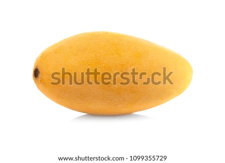 Ripe mango fruits on white background