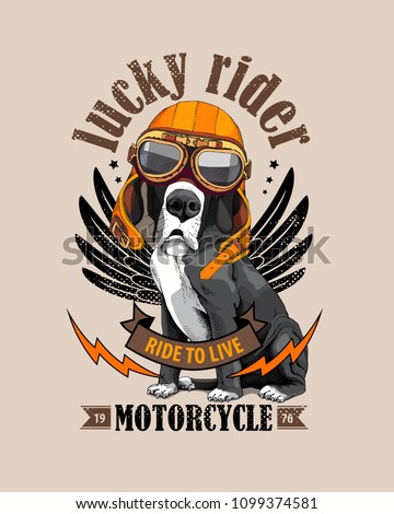 Vector illustration with Great Dane Dog in a biker glasses and orange helmet on a beige background. Lucky rider - lettering quote. Inspiration poster, emblem design, hand drawn style t-shirt print.