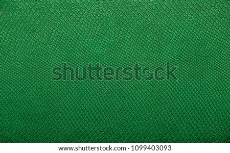 Skin reptile green crocodile skin texture snake background close-up  Royalty-Free Stock Photo #1099403093