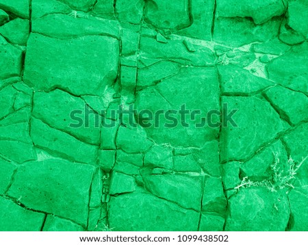 Green texture of the cracked surface. Dead sea region
