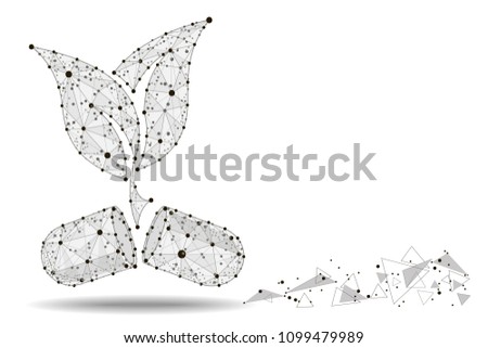 Pill With Herbs,eco design.isolated from low poly wireframe on background of space and stars.  abstract polygonal image mash line and point. Digital graphics.  Illustration