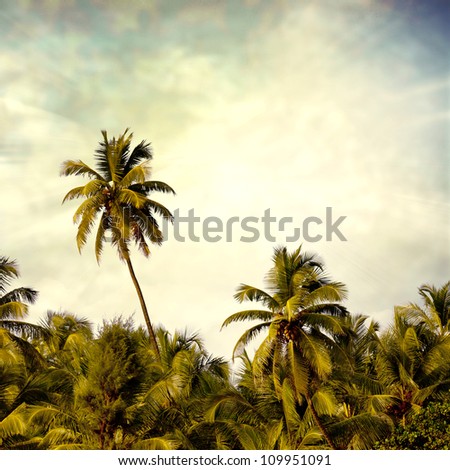 beach background