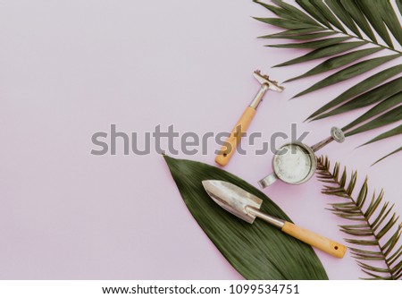 Flat lay garden items with green leaves 
