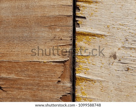 background, wooden texture, horizontal flat boards with beautiful natural pattern