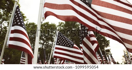 Group of American flags in Haymarket, Virginia on Memorial Day