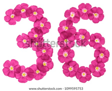 Arabic numeral 36, thirty six, from pink flowers of flax, isolated on white background