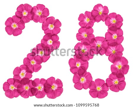 Arabic numeral 28, twenty eight, from pink flowers of flax, isolated on white background
