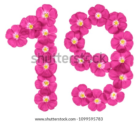 Arabic numeral 19, nineteen, from pink flowers of flax, isolated on white background