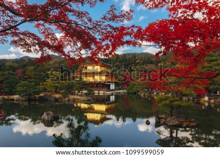 Kinkaku-ji Temple with Red leaf in Autumn season. Buddhist temple in Kyoto, Japan. For other topics translated as "Temple of the Golden Pavilion" or "Golden Pavilion Temple" in English.