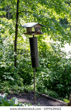 Bird Feeder House in Park