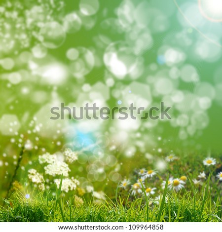 green grass on the blue sky