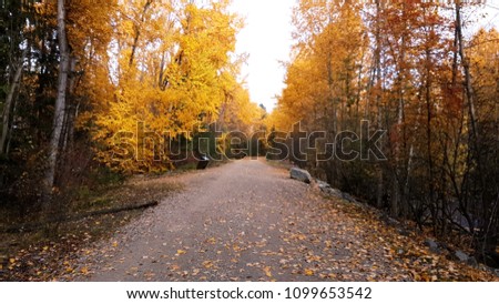 fall trail walk