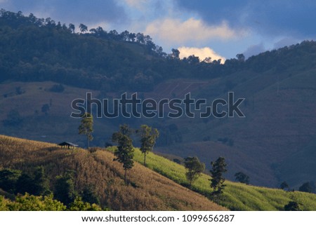 Mountain landscapes green nature beauty