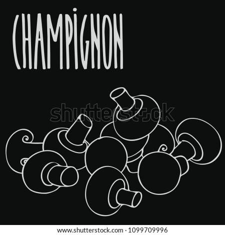 Isolate mushrooms champignon as chalk on blackboard. Close up clipart in chalkboard style. Hand drawn icon. Raster version of illustration