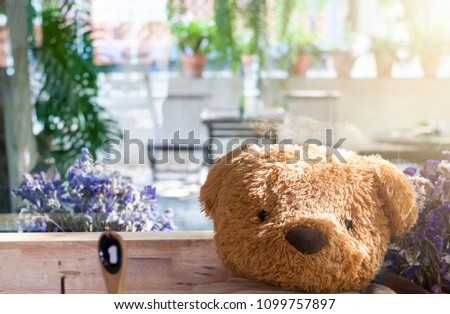 Teddy Bear Sitting chair Have flowers Have a tree sunlight background