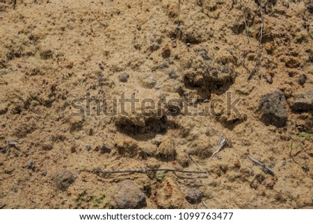 Pile of brown sand