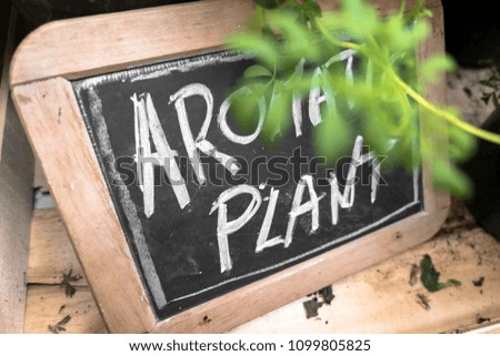 Small blackboard with "Aromatic Plant" inscription. Selected focus. Candid shot made in a shop of flowers and plants.