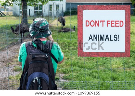 man at the fence with ostriches and the inscription does not feed the animals