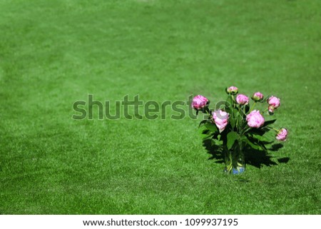 Bouquet of pink peonies on a blurred background of green lawn grass.