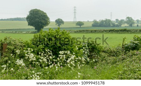 View of Gloucestershire Field, Misty English Sky Before Rain, shallow depth of field