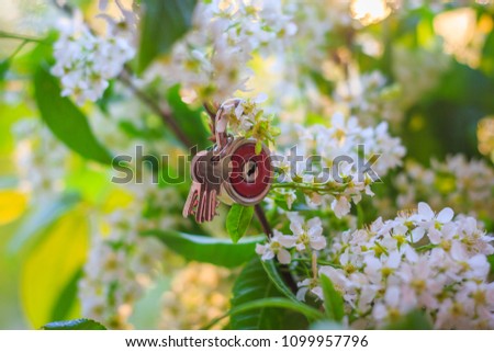 round red lock with aluminum keys on a flower background