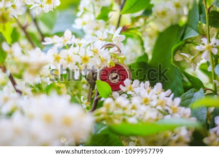 round red lock with aluminum keys on a flower background