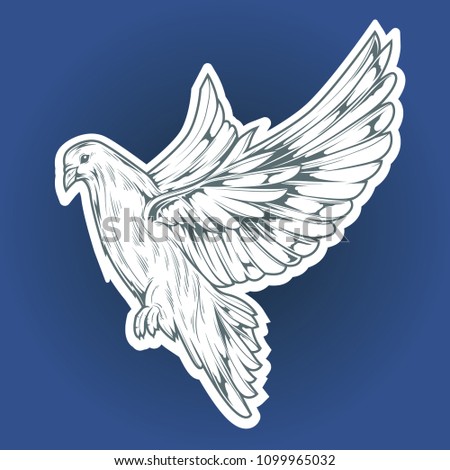Illustration of a pigeon bird