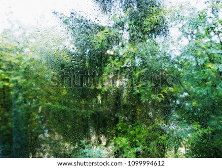 Raindrops outside the window with green nature background