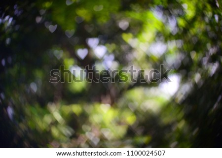 Abstract background of heart bokeh in natural blurred outdoor.