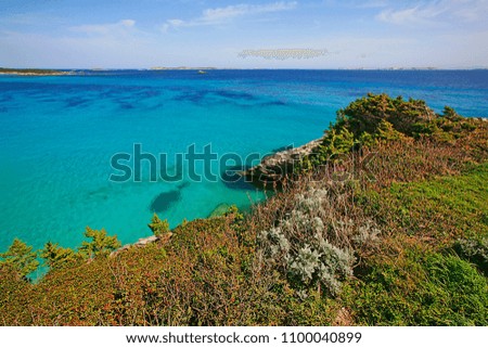 Rocks, vegetation (shrubland) and calm sea, Bonifacio, Corsica island, France