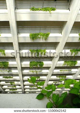 A white multi storey office building decorated with green plants