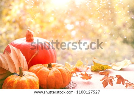 Autumn background with pumpkins and dry leaves on a window board on a rainy day, toned image