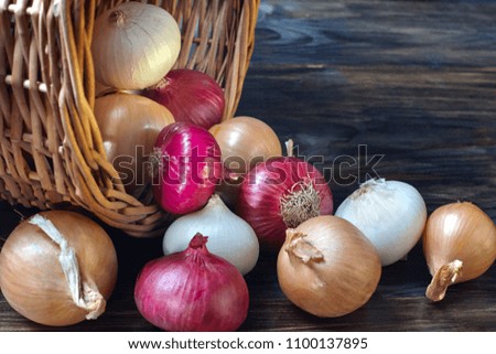 Onions of various varieties is poured out of the basket. A dark background, close-up.