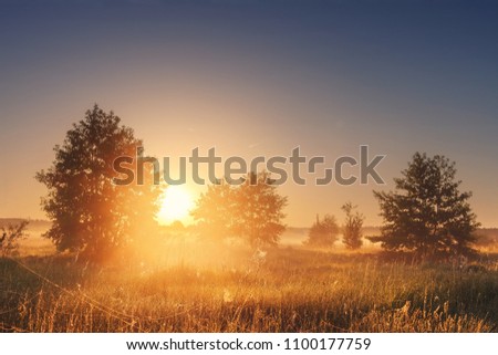 Landscape of bright sunrise over summer misty meadow with trees on clear morning. Natural rural scene of golden field with vivid sun on horizon shining warm sunlight. Sun between trees on foggy meadow