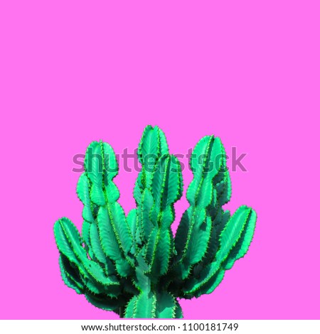 Modern art collage. Neon Cactus art